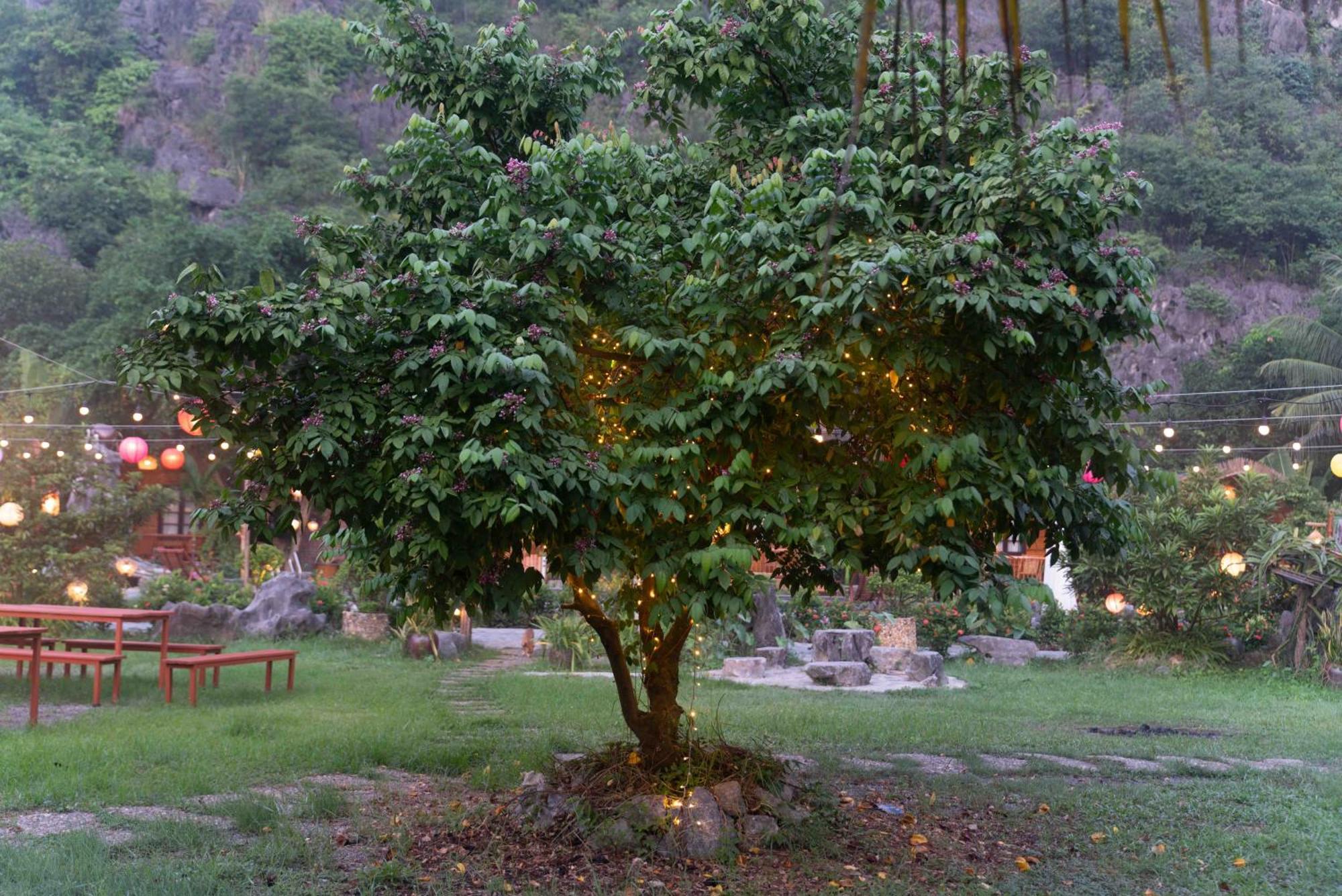 The Goat Boutique Resort นิญบิ่ญ ภายนอก รูปภาพ