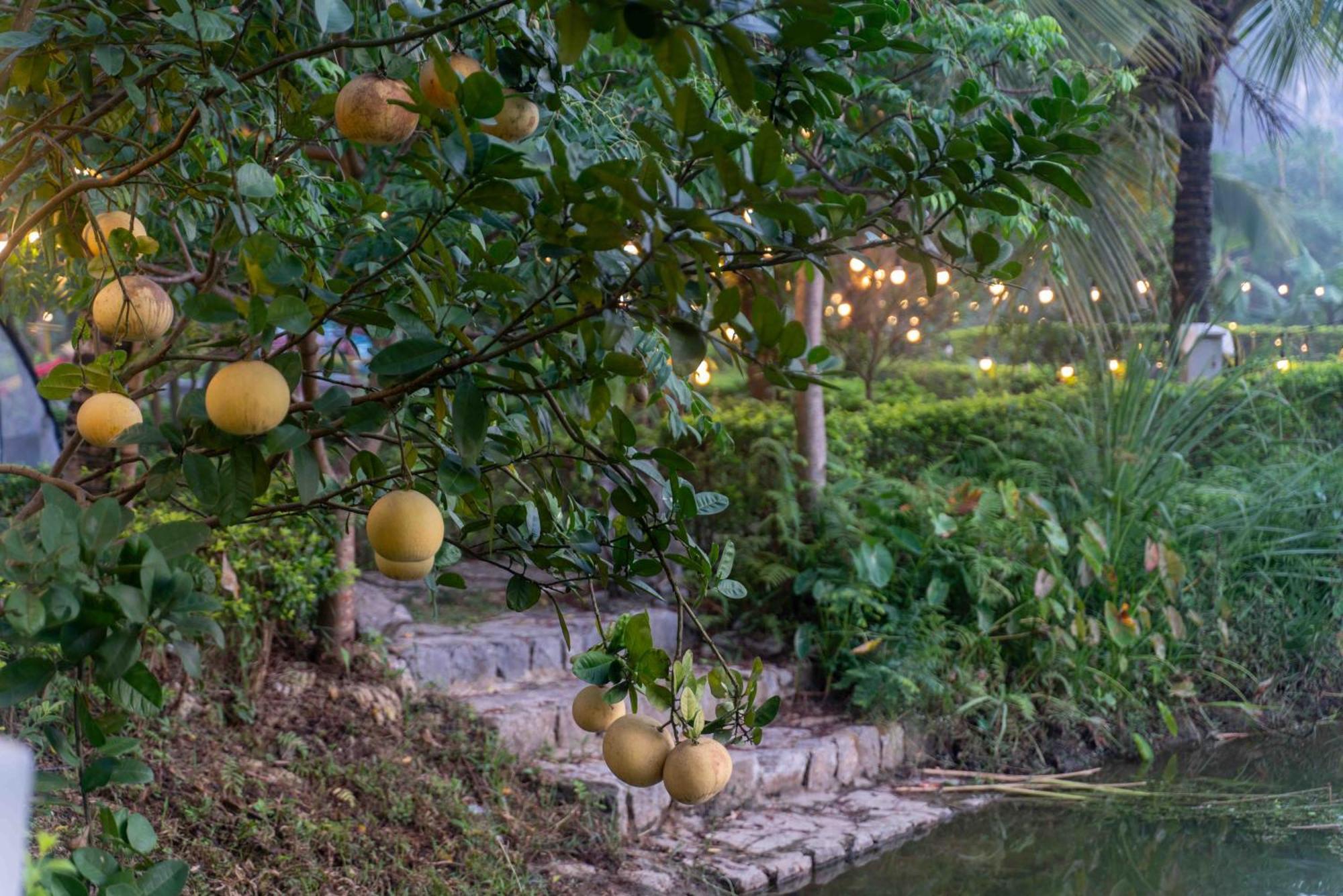 The Goat Boutique Resort นิญบิ่ญ ภายนอก รูปภาพ